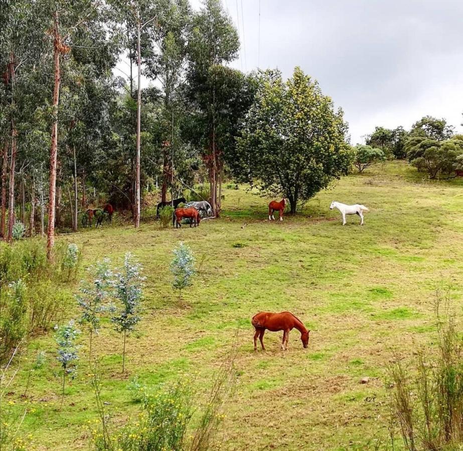 Aika Reserva Glamping Chalet *